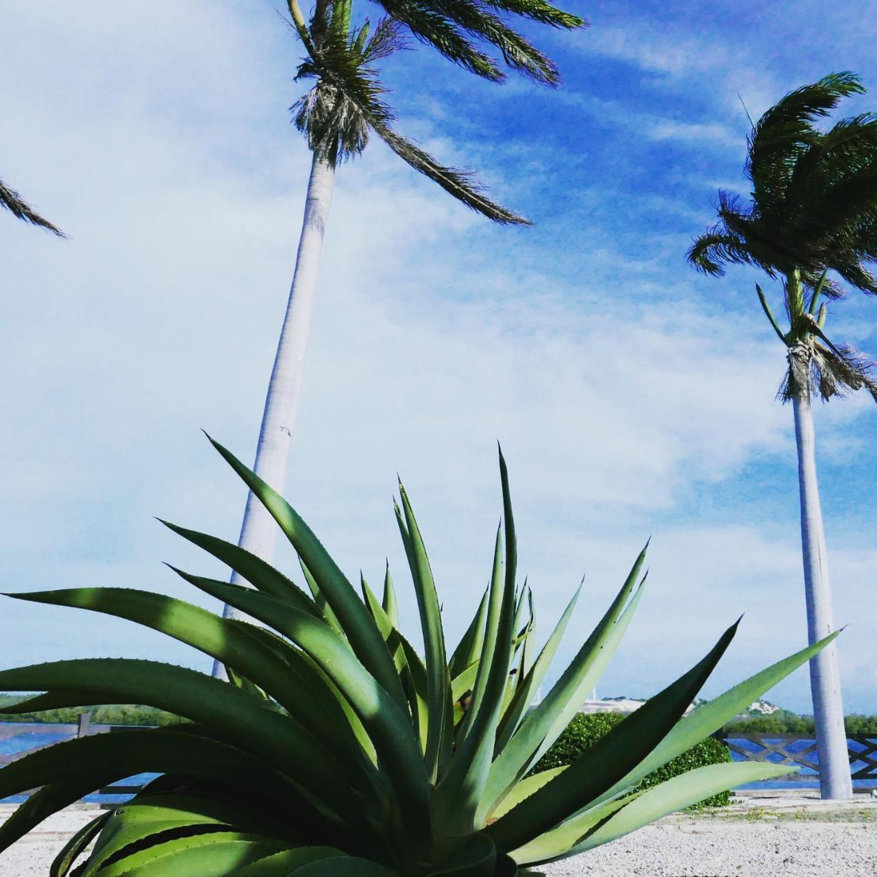 Vila Do Vento Fortim Ngoại thất bức ảnh